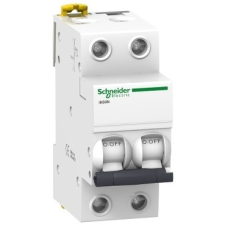 Schneider Electric Kismegszakító 2P,50A, C karakterisztika, 6 kA Acti9 IK60N (Schneider A9K24250) villanyszerelés