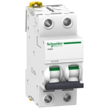 Schneider Electric Kismegszakító 2P,6A, D karakterisztika, 6 kA Acti9 IC60N (Schneider A9F05206) villanyszerelés