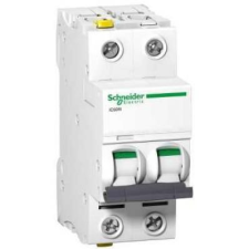Schneider Electric Zrt. KISMEGSZAKÍTÓ 2P 13A C 6KA IC60N villanyszerelés
