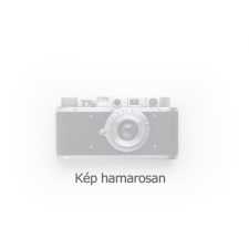 SCHNEIDER Golyóstoll 0,3mm, kupakos Schneider TOPS 505 F, írásszín kék toll
