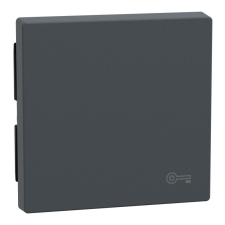 SCHNEIDER MERTEN Billentyű, kulcsjellel, System-M, antracit MEG3303-0414 Schneider villanyszerelés