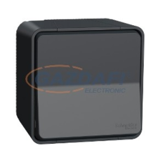 SCHNEIDER MUR35021 MUREVA Styl Váltókapcsoló, komplett (106), antracitszürke villanyszerelés