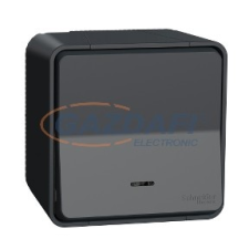 SCHNEIDER MUR35024 MUREVA Styl Váltókapcsoló, fényjelzős (jelző vagy ellenőrző), komplett, antracitszürke villanyszerelés