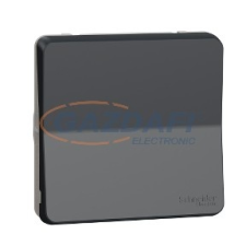 SCHNEIDER MUR35034 MUREVA Styl Kétpólusú kapcsoló, 16 AX (102), antracitszürke villanyszerelés