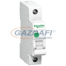 SCHNEIDER R9F14125 RESI9 kismegszakító, 1P, C, 25A villanyszerelés