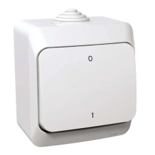 SCHNEIDER WDE000520 CEDAR PLUS IP44/fehér kétpólusú kapcsoló villanyszerelés