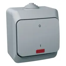 SCHNEIDER WDE000621 CEDAR PLUS Kétpólusú kapcsoló, jelzőfénnyel, IP44, szürke villanyszerelés