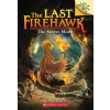 Scholastic Secret Maze: A Branches Book (The Last Firehawk #10) – Judit Tondora