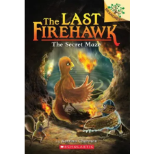 Scholastic Secret Maze: A Branches Book (The Last Firehawk #10) – Judit Tondora idegen nyelvű könyv