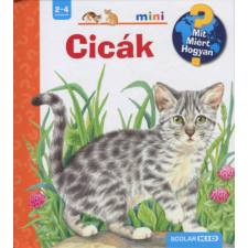 Scolar Kiadó Cicák - MIT? MIÉRT? HOGYAN? 7. gyermek- és ifjúsági könyv