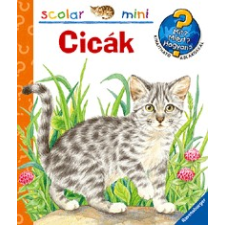 Scolar Kiadó Cicák - scolar - mini gyermek- és ifjúsági könyv