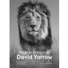 Scolar Kiadó Hogyan fotózok én - David Yarrow