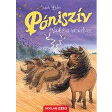Scolar Kiadó Vadló a viharban - Póniszív 14. gyermek- és ifjúsági könyv