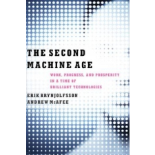  Second Machine Age – Erik Brynjolfsson idegen nyelvű könyv