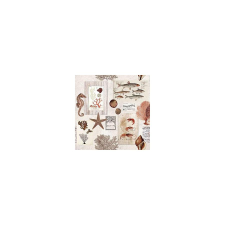  Sepia sea cream papírárú, csomagoló és tárolóeszköz