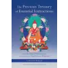 Shambhala Publications Inc. The Precious Treasury of Essential Instructions | Dilgo Khyentse,Padmakara Translation Group
