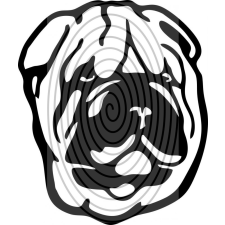  Shar pei fej 2. - falmatrica tapéta, díszléc és más dekoráció