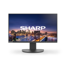 Sharp 23,8" MultiSync EA242F IPS LED 60006215 monitor