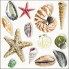  Shells papírszalvéta 33x33cm, 20db-os