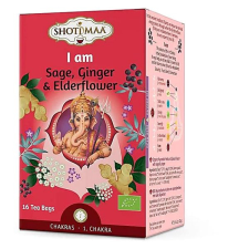 Shoti Maa - Čakry - 1. čakra: I Am - ajurvédský Yogi čaj tea