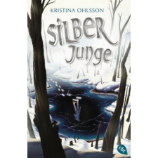  Silberjunge – Kristina Ohlsson,Susanne Dahmann idegen nyelvű könyv