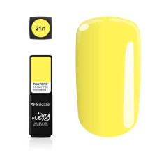 Silcare Flexy - Pantone 21/1 műköröm zselé