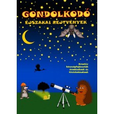 Simon József - Gondolkodó - Éjszakai rejtvények gyermek- és ifjúsági könyv