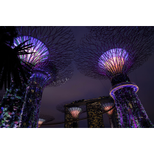  Singapore Park 2 öntapadós tapéta, 300 x 200 cm tapéta, díszléc és más dekoráció