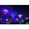  Singapore Park 3 matrica tapéta, 300 x 200 cm