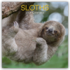  Sloths - Faultiere 2026 - 16-Monatskalender (Kalendář/Diář)