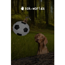 Sokpop Collective sok-worlds (digitális licenc) videójáték