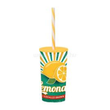 SOLMAZER IRIS Lemonade mintás pohár szívószállal 470ml 161922-027P (161922-027P) konyhai eszköz