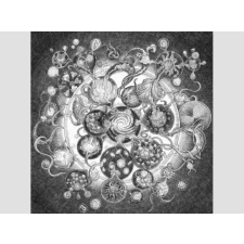 Sony Long Distance Calling - Long Distance Calling (Cd) egyéb zene