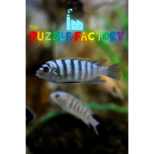 Spacefarer Games Ltd The Puzzle Factory (PC - Steam elektronikus játék licensz) videójáték