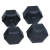 SPARTANSPORT Kézisúlyzó cementes 2x4 kg