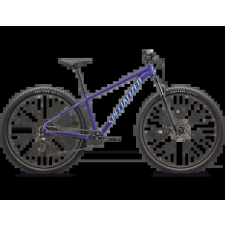 Specialized Rockhopper Comp 29 - L,GLOSS PURPLE HAZE / ASTRAL BLUE, 2024 kerékpár és kerékpáros felszerelés