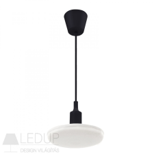 spectrumLED ALBENE ECO LED SMD 18W 230V WW BLACK CABLE világítás