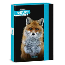 Spirit of Nature füzetbox - A5 - rókás füzetbox