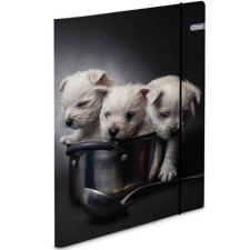 Spirit : Puppies gumis karton mappa A4-es 600g mappa