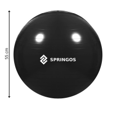 Springos Fb0013 gimnasztikai labda 55 cm-es pumpával fitness labda