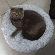 Springos kerek szürke fekhely 3xl 110cm szállítóbox, fekhely macskáknak
