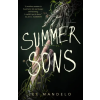 St Martin's Press Summer Sons | MANDELO LEE
