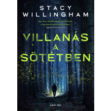 Stacy Willingham - Villanás a sötétben egyéb könyv