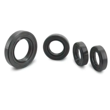Standard Parts Tömítéskészlet Peugeot Foxhoz Standard Parts Elektronika Gyújtások Gyújtáskapcsolók, zárszettek egyéb motorkerékpár alkatrész