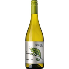 Steigler Pince Steigler Kaméleon Cuvée fehér 2022 (BIO) (0,75l) bor