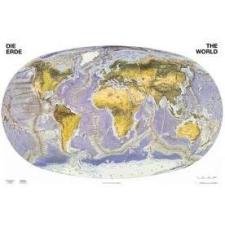Stiefel A Föld felszíne faléces falitérkép Stiefel 60x40 cm térkép