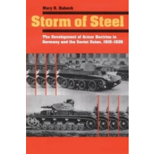  Storm of Steel – Mary Habeck idegen nyelvű könyv