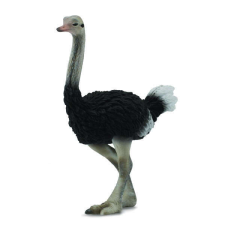Strut L Collecta figura játékfigura