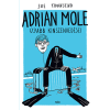 Sue Townsend - Adrian Mole újabb kínszenvedései