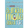 Sue Townsend THE SECRET DIARY OF ADRIAN MOLE AGED 13 3/4
